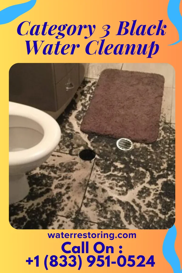 Category 3 Black Water Cleanup in White Oak, PA