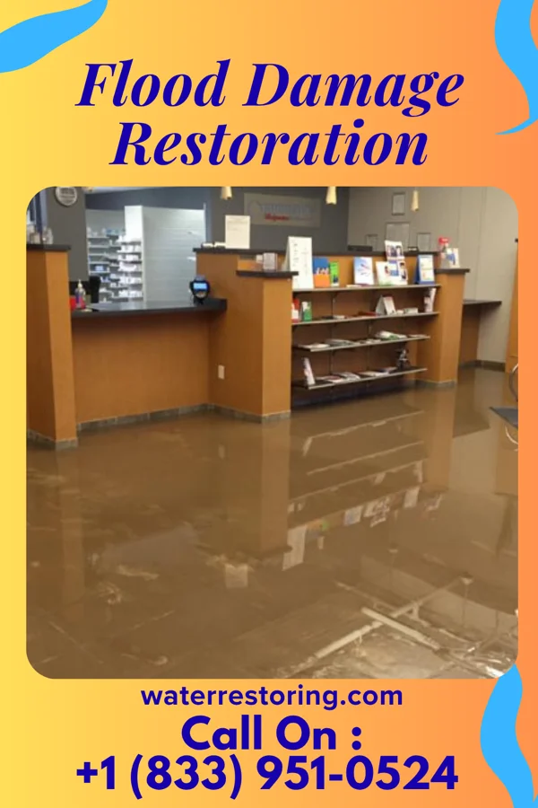 Flood Damage Restoration in White Oak, PA