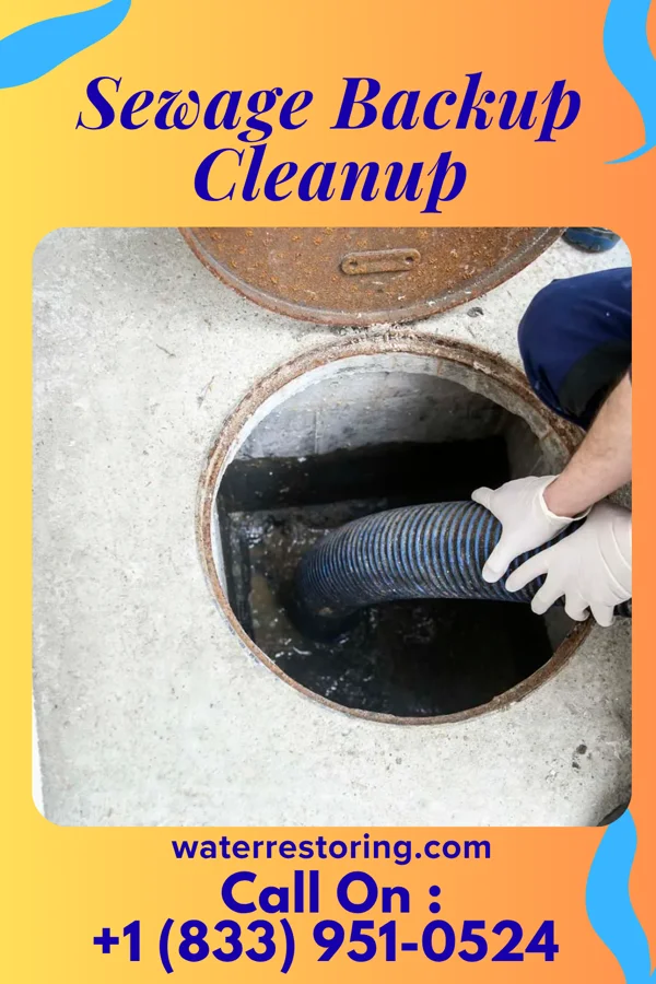 Sewage Backup Cleanup in White Oak, PA